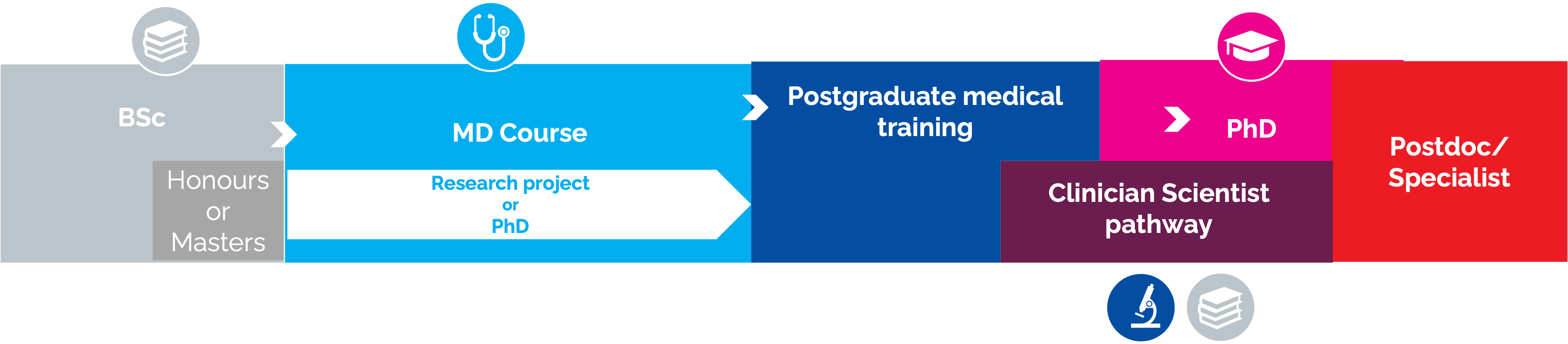 Above is an overall outline of a clinician graduate research training pathway at the Doherty – this may vary on a case by case basis.
