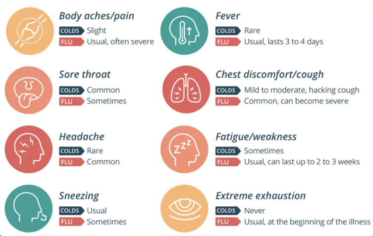 The flu tends to be more severe than the common cold. Image courtesy of healthdirect.
