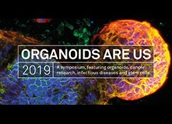 Organoids Are Us 2019