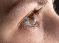 Researchers discover specialised immune cells patrolling the human eye