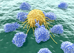 Day of Immunology: Activating the snipers of our immune system