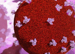 Could a cancer drug hold the key to a HIV cure?