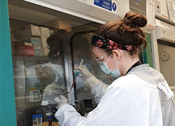 Meet the team: Jennifer Habel investigates SARS-CoV-2 immunity