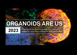 Organoids Are Us 2023