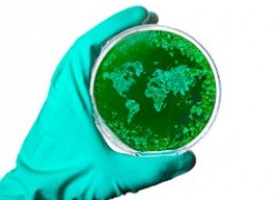 APPRISE gets the green light to begin critical pandemic research