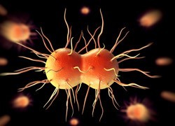 Research highlights complex transmission networks of gonorrhoea in Victoria
