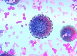 New grants further work in HIV and Hep B
