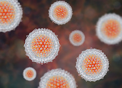 Data reveals link between invasive pneumococcal disease and hepatitis C